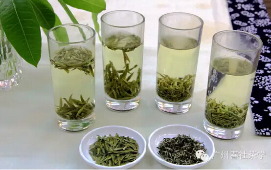 泡茶技法|广州茶艺培训之春社高级茶艺师培训 7