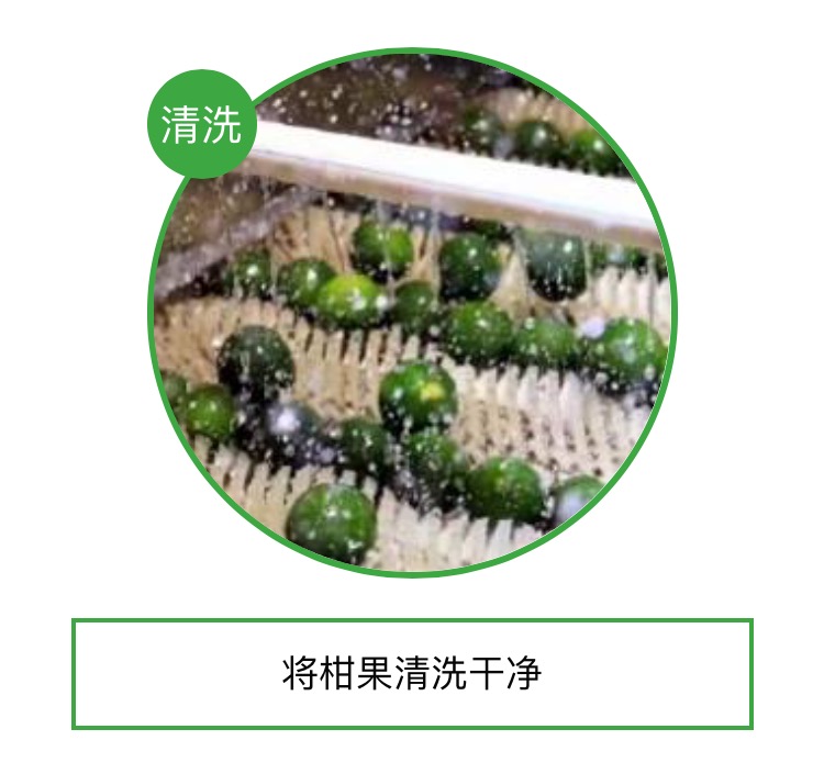 火成“小心肝”的“小青柑”,不知道这些,你就OUT啦!