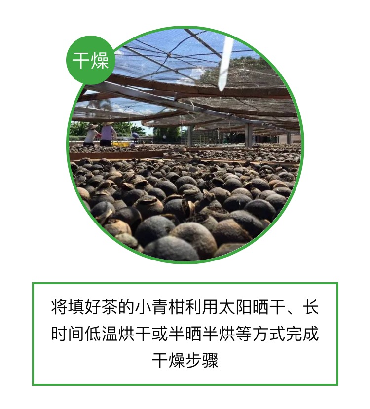 火成“小心肝”的“小青柑”,不知道这些,你就OUT啦!