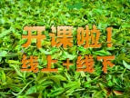 我们开工啦！！！新年新气象：春社茶学传统文化培训双轨教学模式正式启动