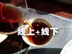 春社茶学茶文化培训双轨教学模式即将闪亮登场