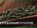 春社茶学评茶员培训班7月16日开班